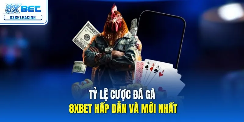 Tỷ lệ cược đá gà 8xbet hấp dẫn và mới nhất