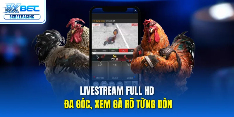 Livestream Full HD đa góc, xem gà rõ từng đòn