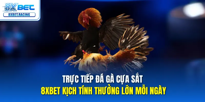 Đá gà cựa sắt 8xbet – Trực tiếp kịch tính, thưởng mỗi ngày!